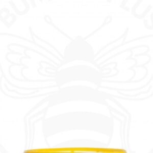 Košarica za damu 5l PVC